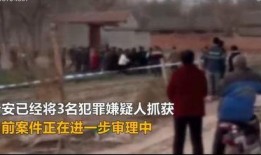 邯郸父亲最新爆料视频,孩子遭遇校园霸凌，正义何时到来？