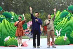 团山最新爆料新闻视频大全,视频大全揭秘惊人内幕