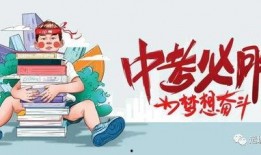 宝库最新爆料消息视频,最新爆料视频深度解析