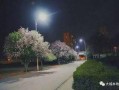 最新大城新闻爆料,揭秘最新热点事件背后的真相