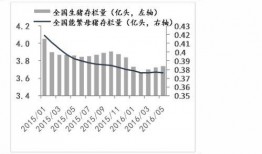 神雾集团最新消息爆料,揭秘重组与转型背后的战略布局