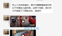 普宁风情网爆料视频最新,最新视频揭秘普宁本土风情