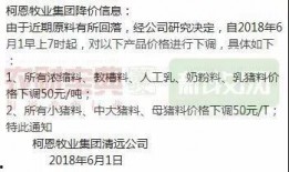 猪价最新爆料新闻视频,最新爆料视频深度解析