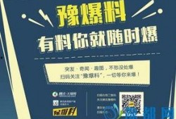河南频道爆料新闻最新视频,揭秘神秘事件背后的真相